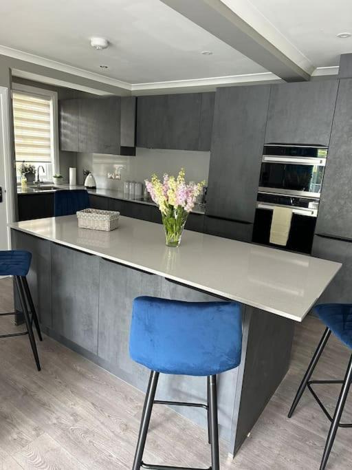 Cameron Coach House Modern Property In Murrayfield Εδιμβούργο Εξωτερικό φωτογραφία